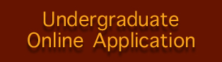 Undergraduate Online Application